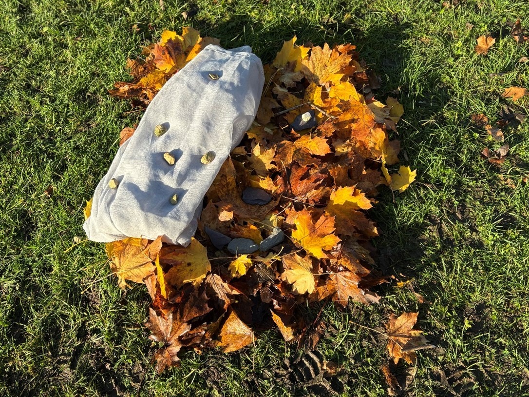 Springfield Poppy 13th November 2025 – Remembrance Day Poppies Ojo de Dios (God’s Eye ...